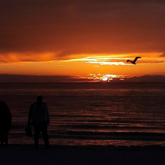 Meet your Posher, Joyce - Picture 2 of 8